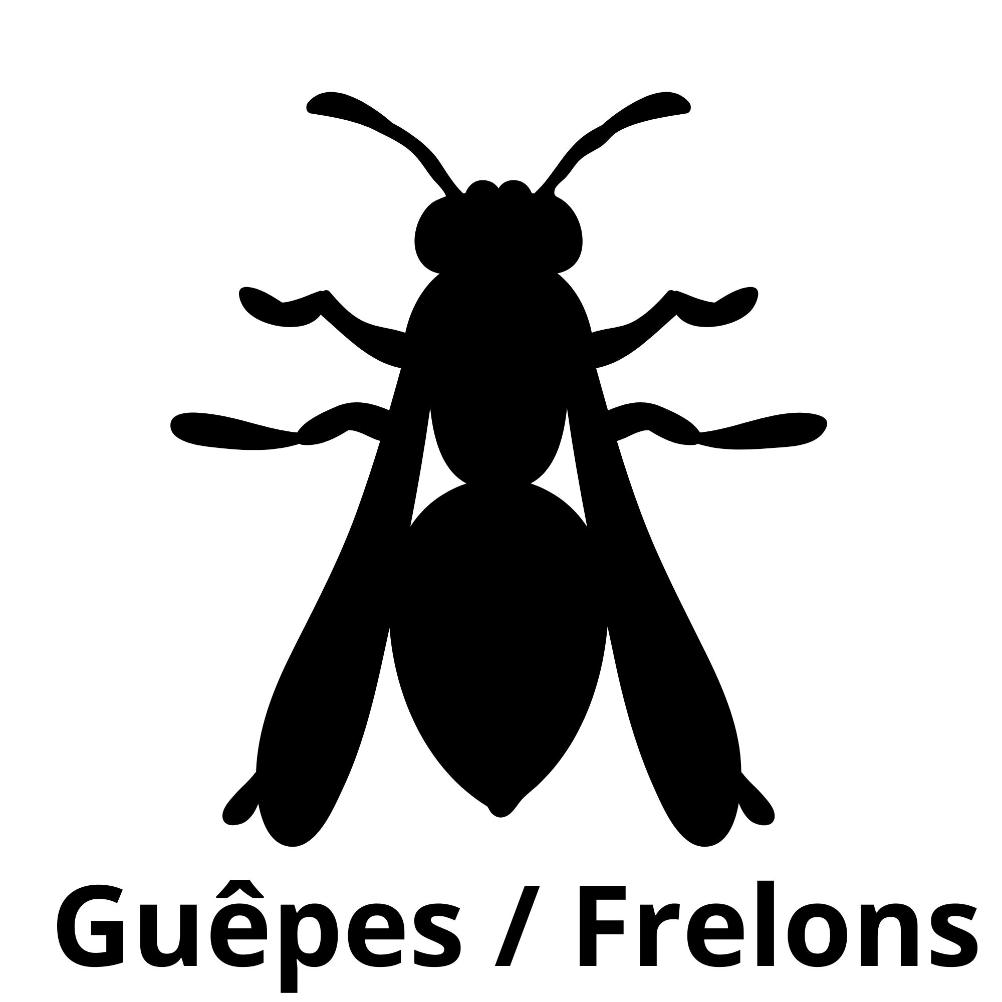 Guêpes Frelons